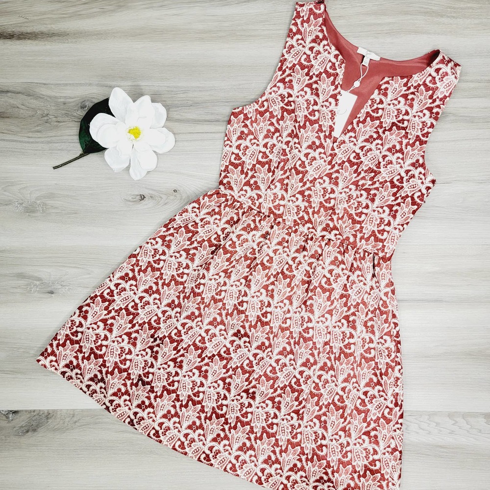 Joie Floral Print Esteva Dress NWT